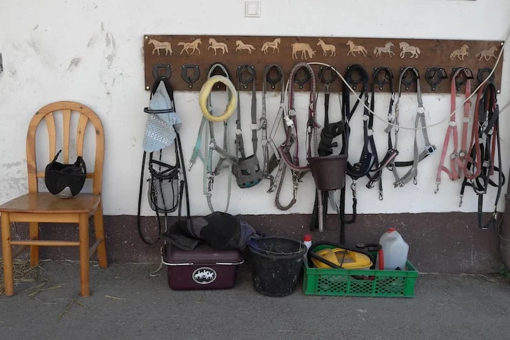 Tipi di sella per cavallo: la guida completa a tutti i modelli 2 Altri tipi di sella per cavallo