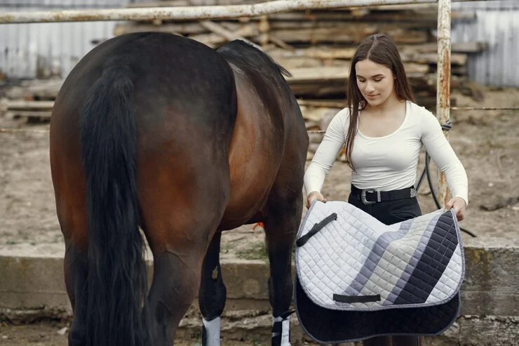 Come sellare un cavallo: guida in 10 passi (inglese e western) 2 Come sellare un cavallo guida in 10 passi (inglese e western)