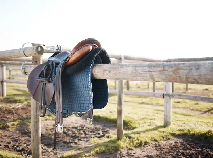 Migliori selle usate per cavallo: come sceglierle e le alternative sicure 7 Conviene comprare una sella usata per cavallo