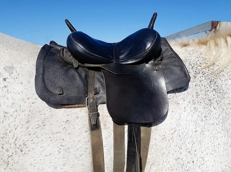 Migliori selle cavallo del 2026 le 8 top a confronto