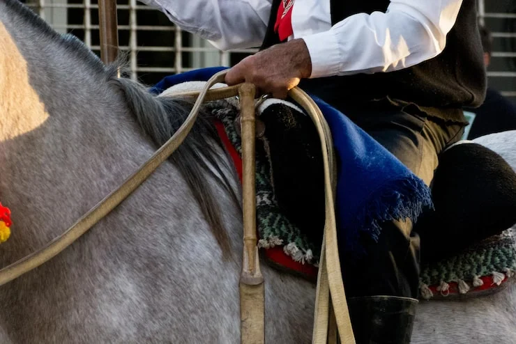 Parti della sella del cavallo nomi, componenti e funzioni