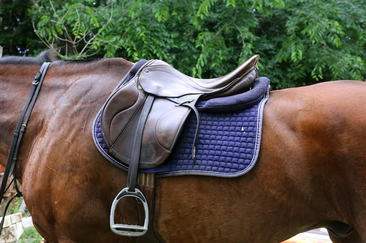 Sottosella cavallo gli 8 migliori del 2026 per proteggere la schiena